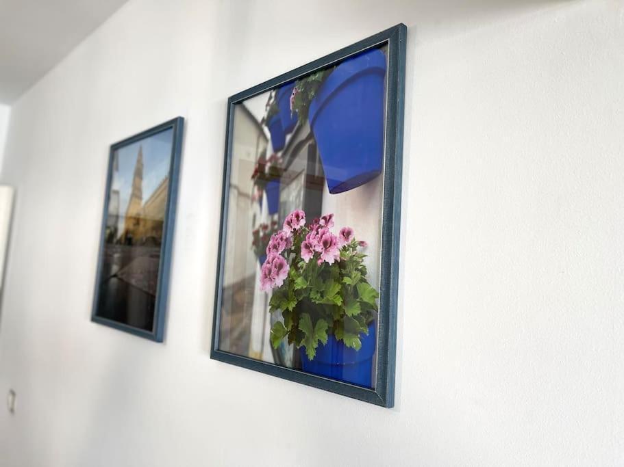 Apartamento Centrico Urbano Con Terraza Кордова Экстерьер фото